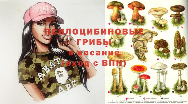 ГАЛЛЮЦИНОГЕННЫЕ ГРИБЫ Балахна