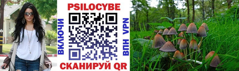 даркнет сайт  Кодинск  Галлюциногенные грибы MAGIC MUSHROOMS 